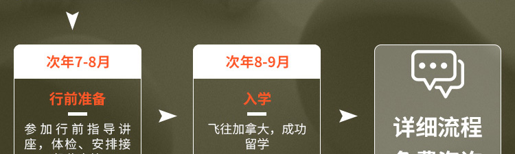 加拿大