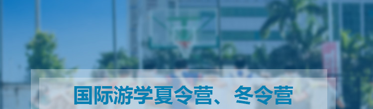 出国游学