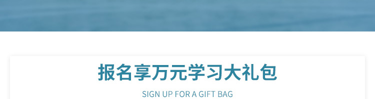 出国游学