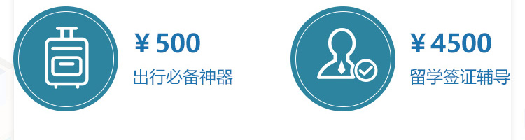 出国游学