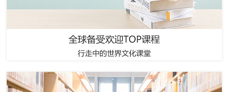 出国游学